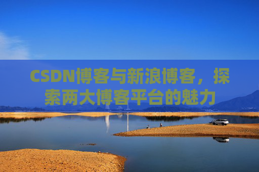 CSDN博客与新浪博客，探索两大博客平台的魅力
